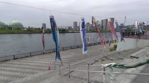 Japon Kültür Sazan Balığı Flaması Koinobori 2022 — Stok video