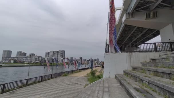 Культура Японии Carp Streamer Koinobori 2022 — стоковое видео