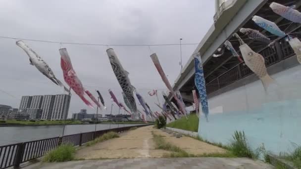 Carpe Culture Japonaise Koinobori 2022 — Video