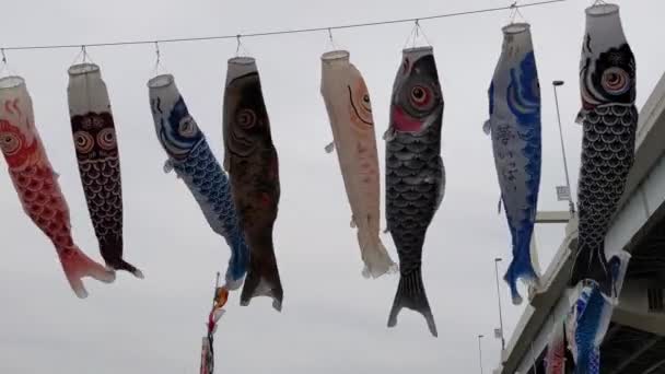 Corrente Carpa Cultura Japonesa Koinobori 2022 — Vídeo de Stock