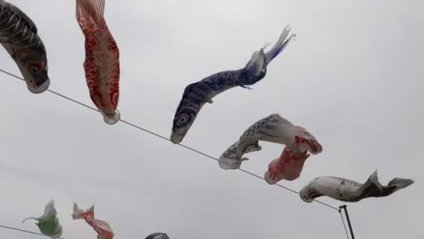 Japanse Cultuur Karper Streamer Koinobori 2022 — Stockvideo