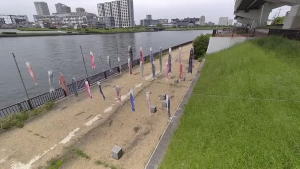 Japon Kültür Sazan Balığı Flaması Koinobori 2022 — Stok video