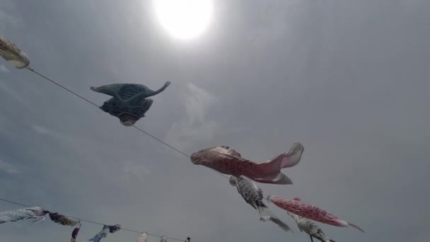 Japanese Culture Carp Streamer Koinobori 2022 — Stock Video