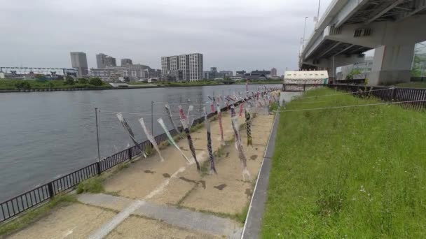 日本の文化鯉ストリーマー小井の堀2022 — ストック動画