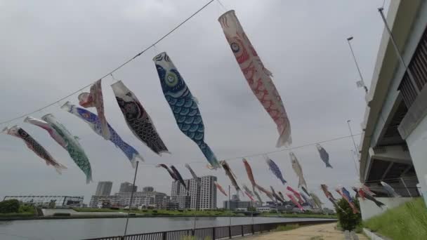 Японський Культурний Карп Стример Koinobori 2022 — стокове відео