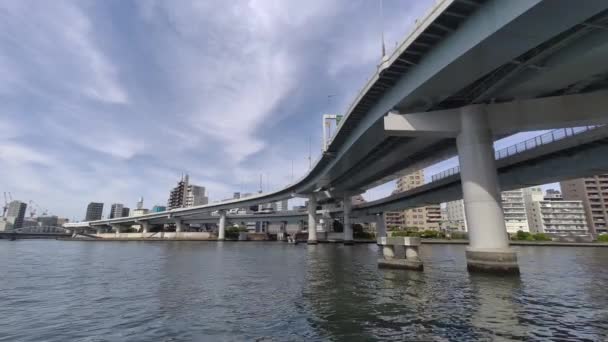 Tokyo Sumida River Procházka Video 2022 — Stock video