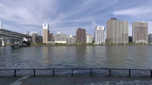 Spaziergang Tokyo Sumida River Jahr 2022 — Stockvideo