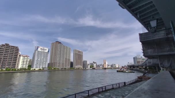 Tokyo Sumida River Stroll Video 2022 — стокове відео