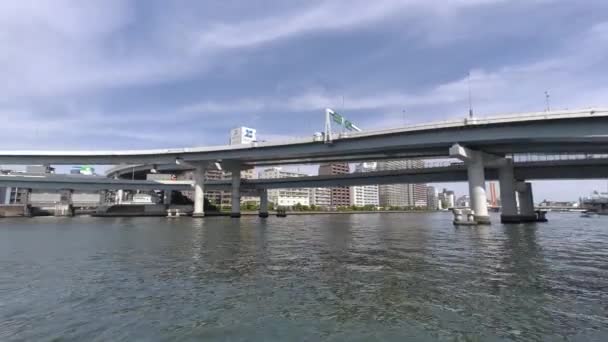 Tokyo Sumida River Procházka Video 2022 — Stock video