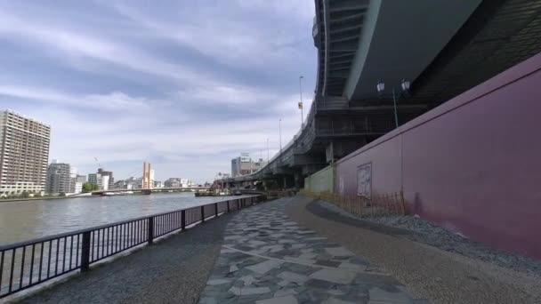Tokyo Sumida River Passeggiata Video 2022 — Video Stock