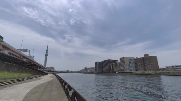 Spaziergang Tokyo Sumida River Jahr 2022 — Stockvideo