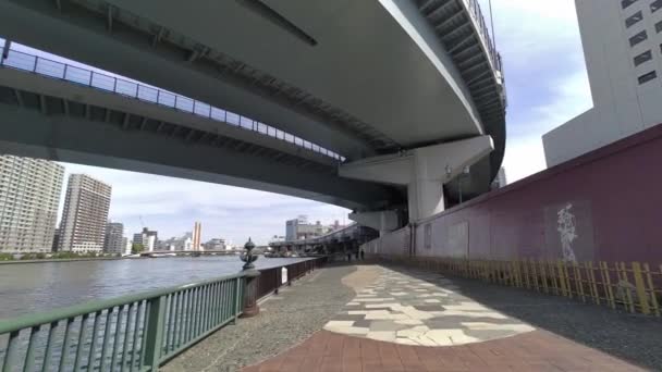 Spaziergang Tokyo Sumida River Jahr 2022 — Stockvideo