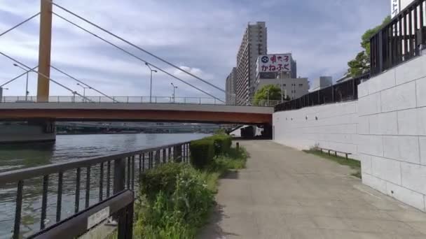 Tokyo Sumida River Stroll Video 2022 — стокове відео