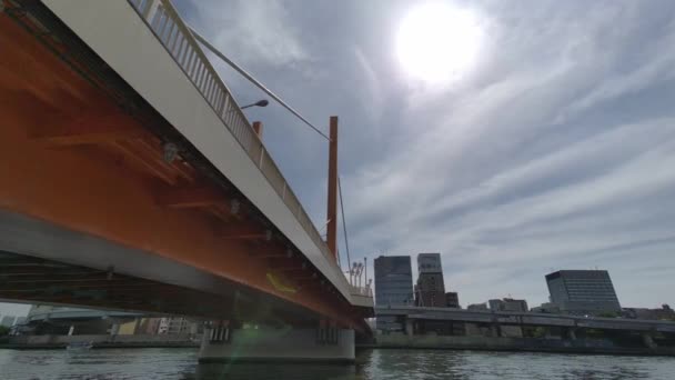 Tokyo Sumida River Passeggiata Video 2022 — Video Stock