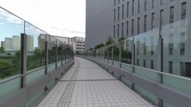 Tokyo Toyosu yaya güvertesi 2022