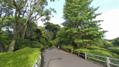 Tokyo Kitanomaru Parkı Sabah 2022