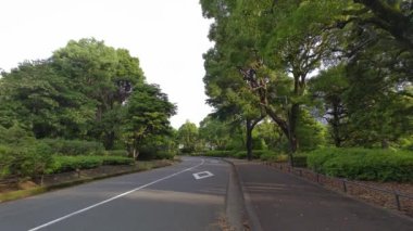 Tokyo Kitanomaru Parkı Sabah 2022