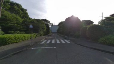 Tokyo Kitanomaru Parkı Sabah 2022