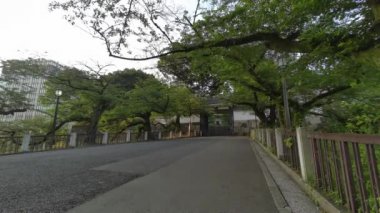 Tokyo Kitanomaru Parkı Sabah 2022