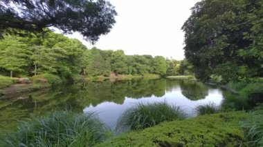 Tokyo Kitanomaru Parkı Sabah 2022