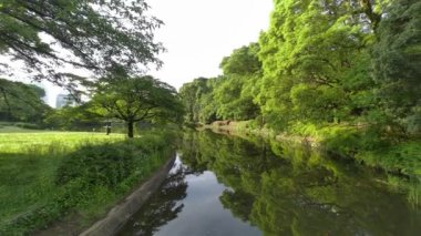 Tokyo Kitanomaru Parkı Sabah 2022