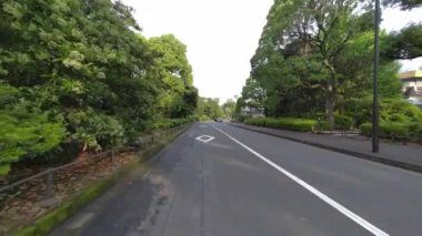 Tokyo Kitanomaru Parkı Sabah 2022