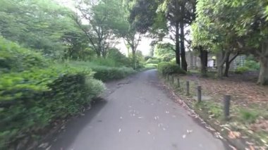 Tokyo Kitanomaru Parkı Sabah 2022