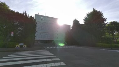 Tokyo Kitanomaru Parkı Sabah 2022
