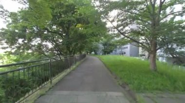 Tokyo Sotobori Parkı Sabah 2022