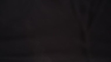 Japon Soya Kaynağı Ramen Hazır Erişte 