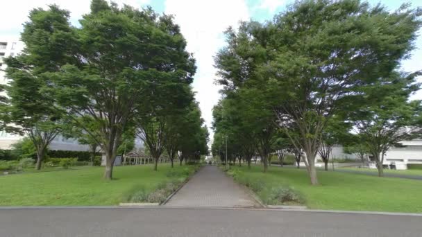 Tokyo Rinkai Disaster Prevention Park — стоковое видео