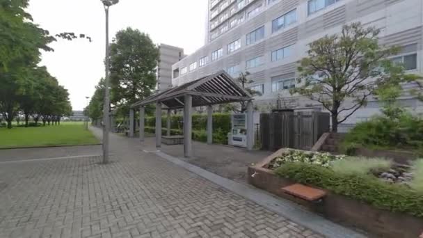 Tokyo Rinkai Katastrofförebyggande Park — Stockvideo