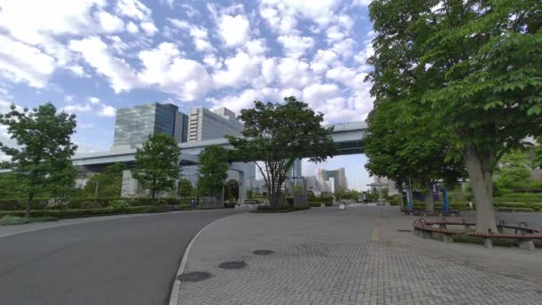 Tokyo Rinkai Katastrofförebyggande Park — Stockvideo