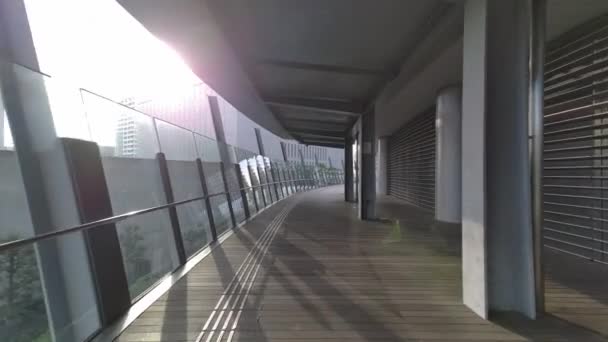 Tokyo Toyosu Cubierta Peatonal 2022 — Vídeos de Stock