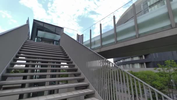 Tokyo Toyosu Pont Piétonnier 2022 — Video