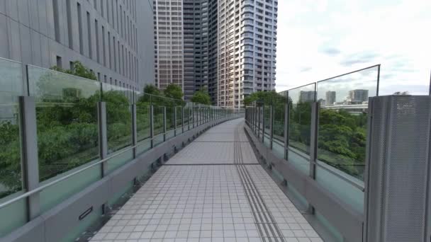 東京豊洲歩行者用デッキ2022 — ストック動画