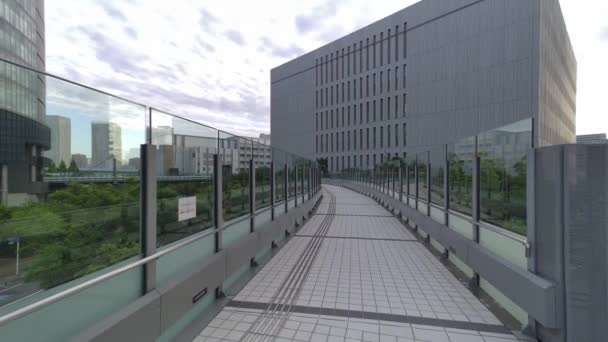 Tokyo Toyosu Gångdäck 2022 — Stockvideo