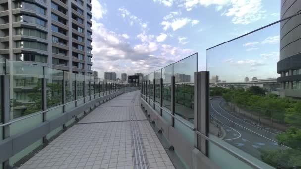 Tokyo Toyosu Pont Piétonnier 2022 — Video