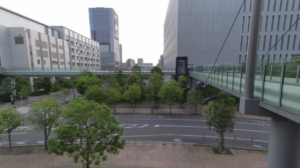 Tokyo Toyosu Ponte Pedonale 2022 — Video Stock