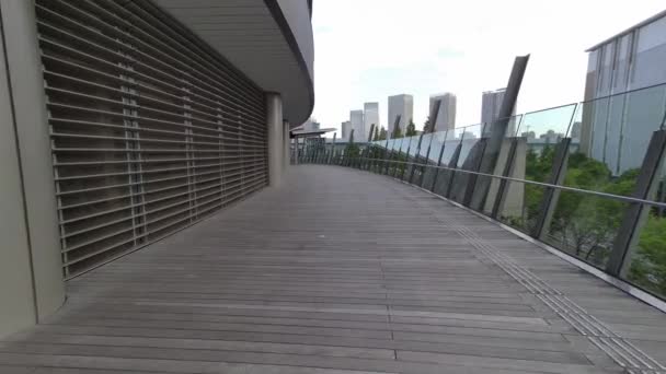 Tokyo Toyosu Pont Piétonnier 2022 — Video
