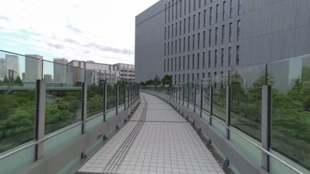 Tokio Toyosu Fußgängerdeck 2022 — Stockvideo