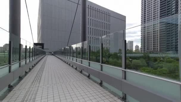 Tokio Toyosu Fußgängerdeck 2022 — Stockvideo