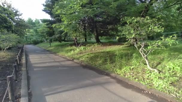 東京北の丸公園2022年早朝 — ストック動画