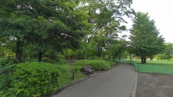 Tokyo Kitanomaru Park Vroege Ochtend 2022 — Stockvideo