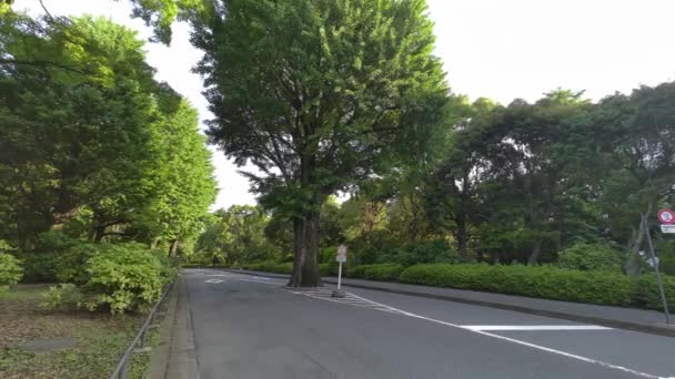 Tokyo Kitanomaru Park Vroege Ochtend 2022 — Stockvideo