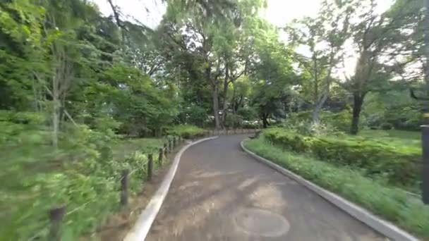 Tokyo Kitanomaru Park 2022 Kora Reggel — Stock videók