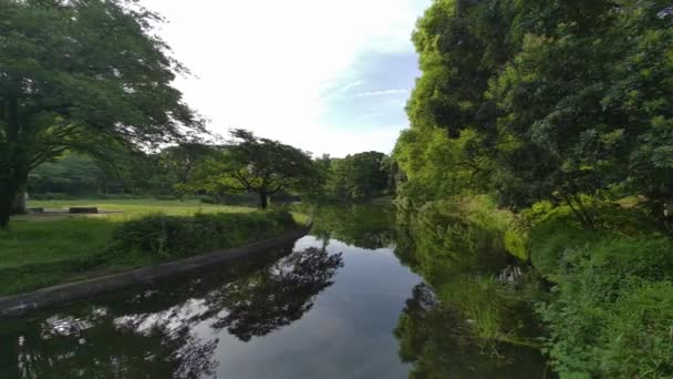 Tokyo Kitanomaru Park Wczesnym Rankiem 2022 — Wideo stockowe