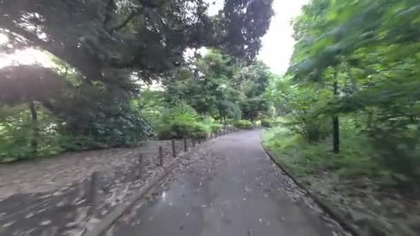 Tokyo Kitanomaru Park Vroege Ochtend 2022 — Stockvideo