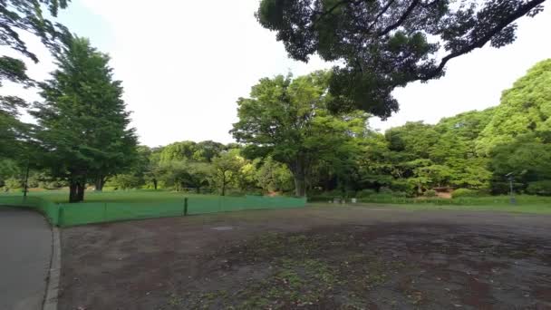 Tokyo Kitanomaru Park 2022 Kora Reggel — Stock videók