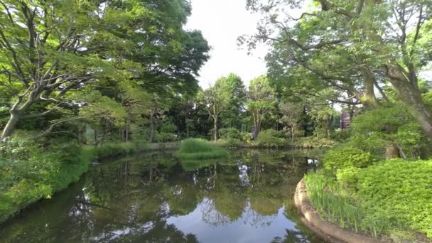 Tokyo Kitanomaru Park Mattina Presto 2022 — Video Stock
